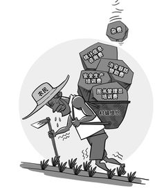 信息咨詢落地為實 從理論到實踐的橋梁